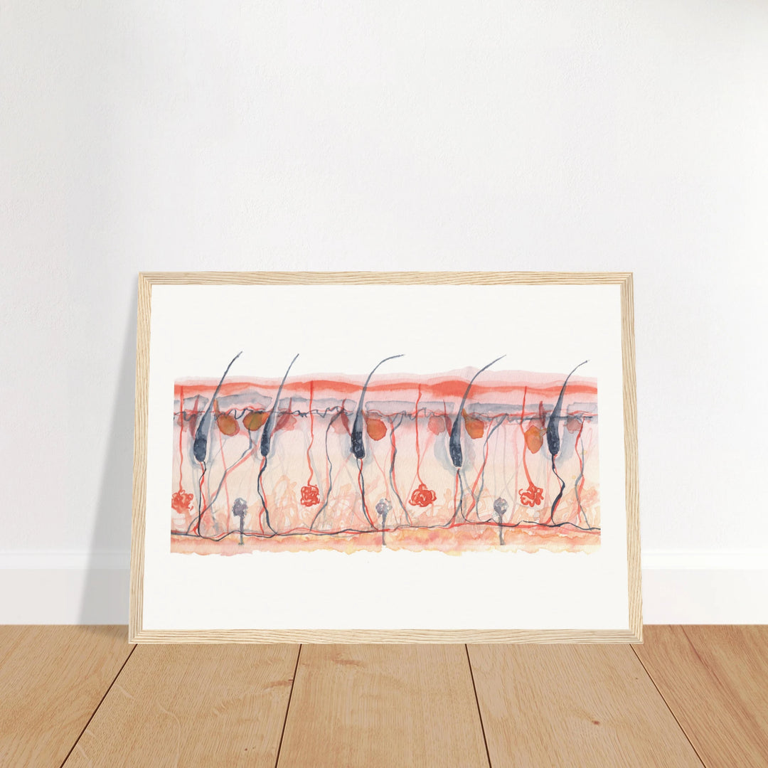 97adc1cc-5fd8-4ac3-98a5-998d618fb84c