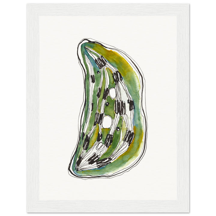 framed print of cell nucleus watercolor painting by ontogenie