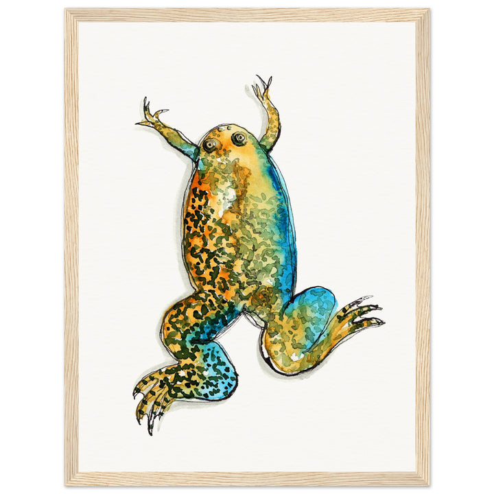 framed print of xenopus african clawed frog watercolor painting by ontogenie