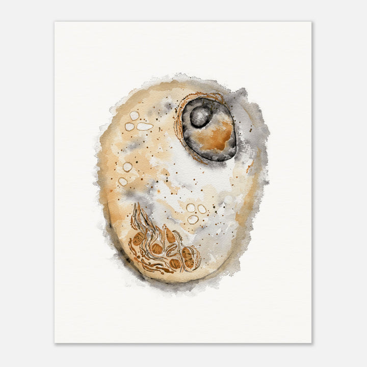 animal cell watercolor art print by ontogenie, gift for biologist or medical professional