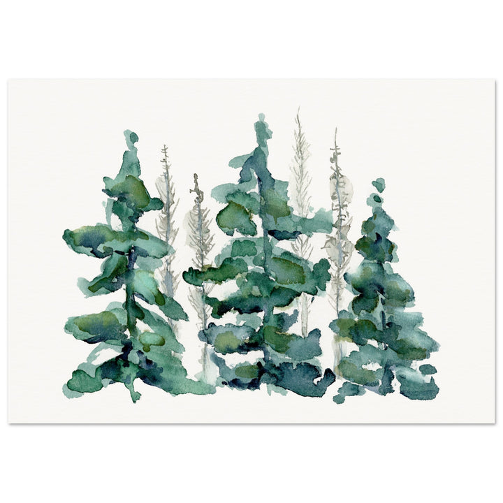 spruce forest under bark beetle attack watercolor painting by ontogenie