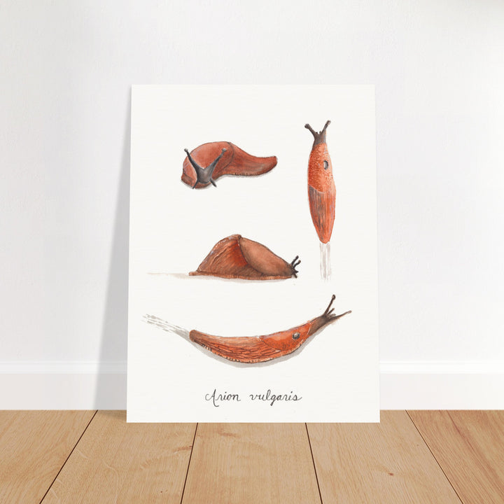 slug art print, unframed