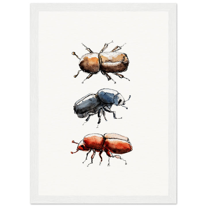 framed print of bark beetle watercolor painting by ontogenie