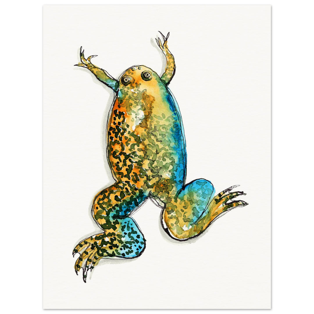 xenopus african clawed frog watercolor print by ontogenie