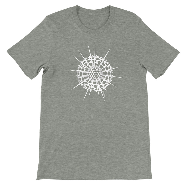 radiolaria t-shirt in heather gray by ontogenie