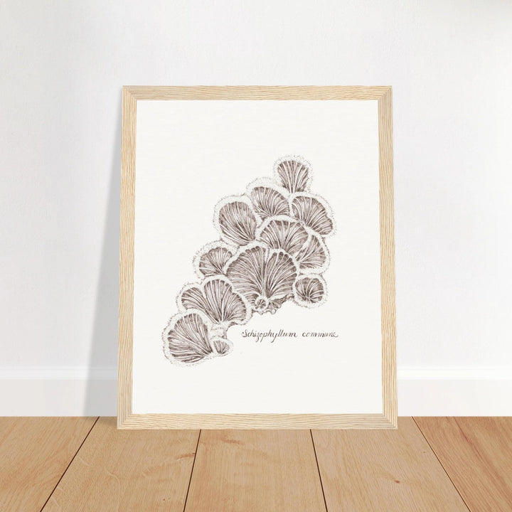 framed artwork of schizophyllum split gill mushroom ink drawing, natural wood frame