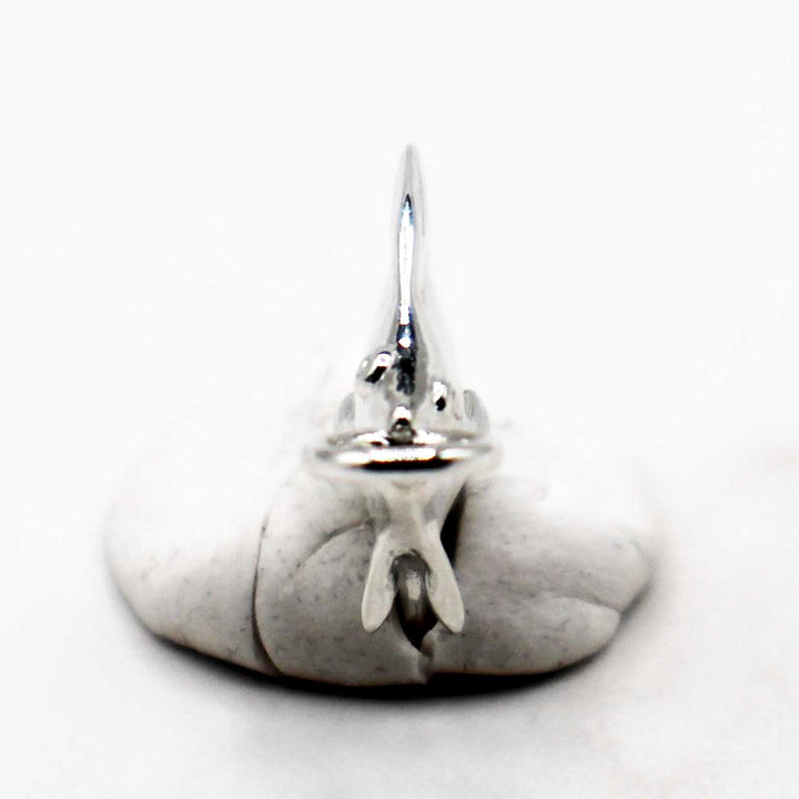 amphistium transitional fossil fish pendant in sterling silver by ontogenie