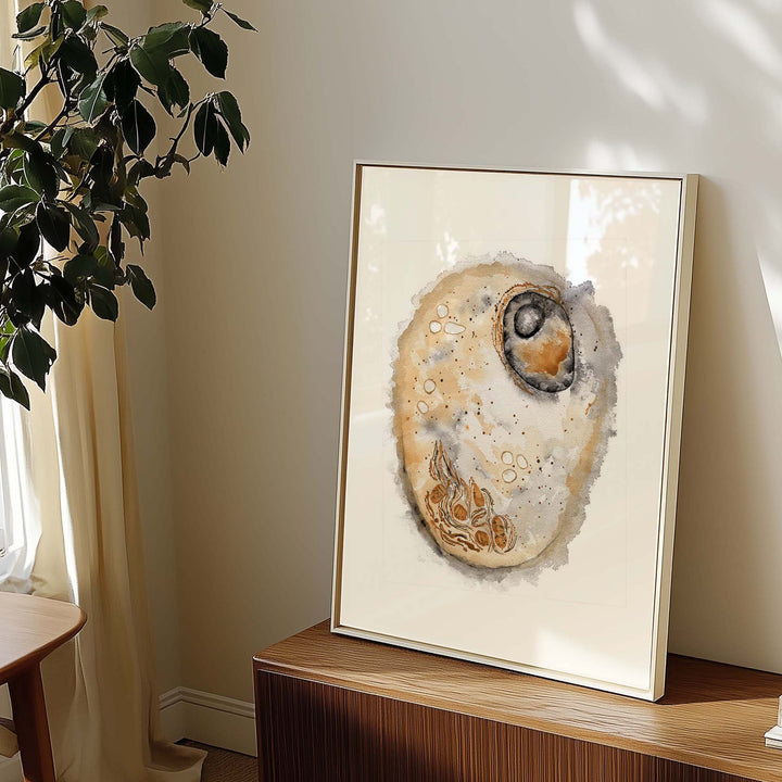 Animal Cell Wall Art