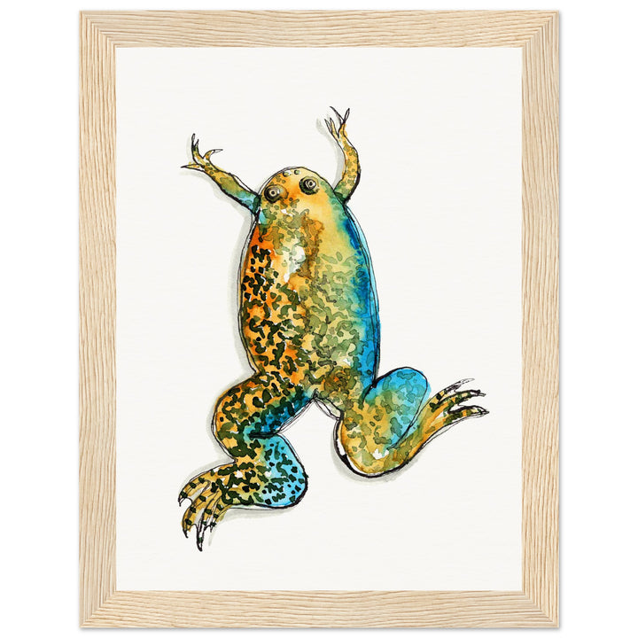 framed print of xenopus african clawed frog watercolor painting by ontogenie