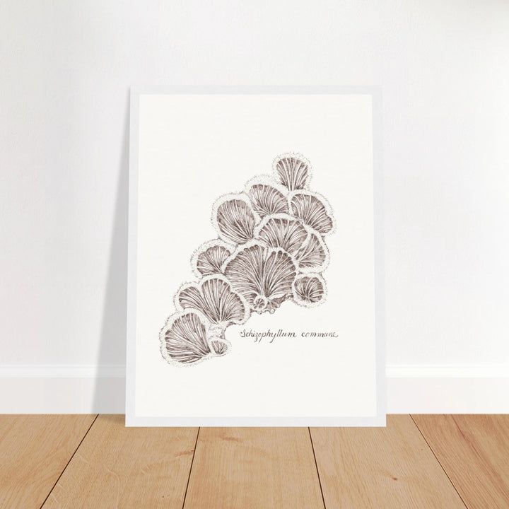 b55688dc-06f1-4a37-8ab6-705e3c27e3e6