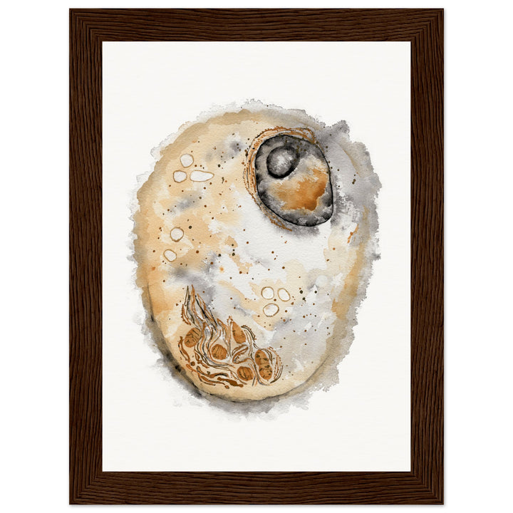 framed print of animal cell watercolor painting by ontogenie