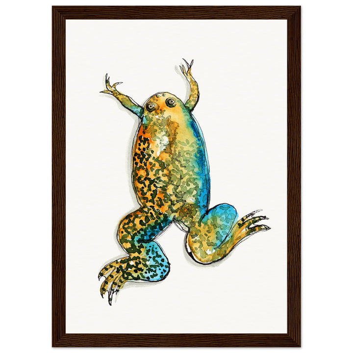 framed print of xenopus african clawed frog watercolor painting by ontogenie