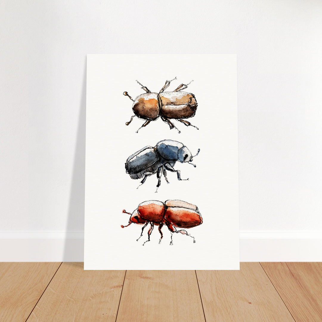 bark beetle watercolor painting print by ontogenie