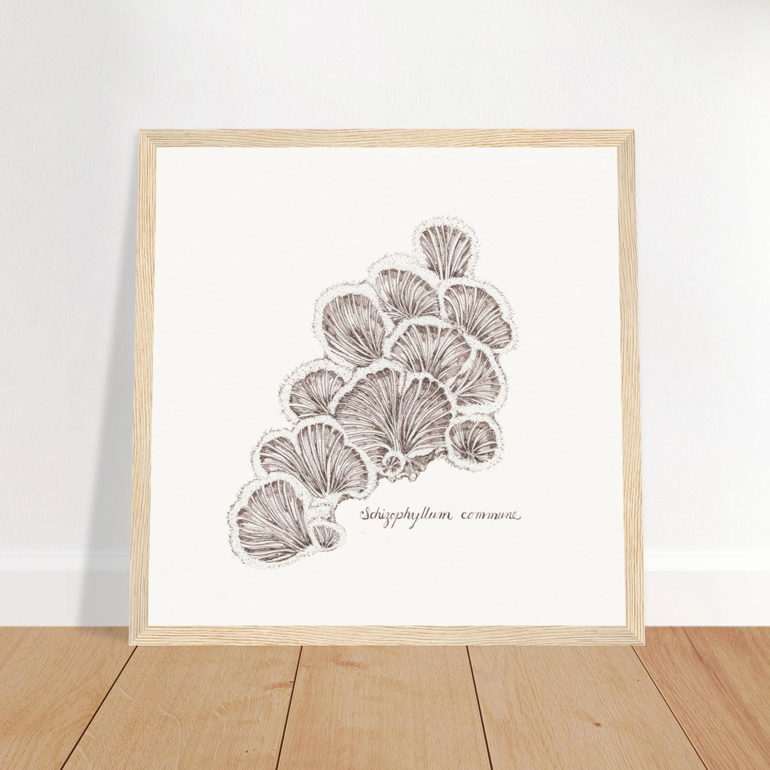 b9770a9c-dc4e-44e0-b8e8-2ecb03799557