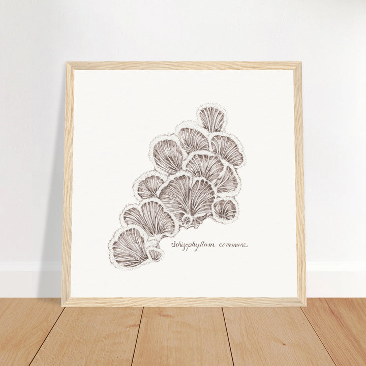 b9770a9c-dc4e-44e0-b8e8-2ecb03799557