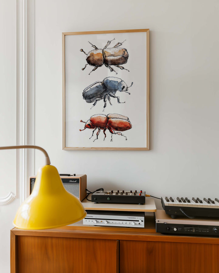 bark beetle wall art, wooden frame