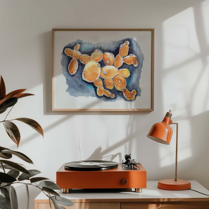 budding yeast science art print, wood frame