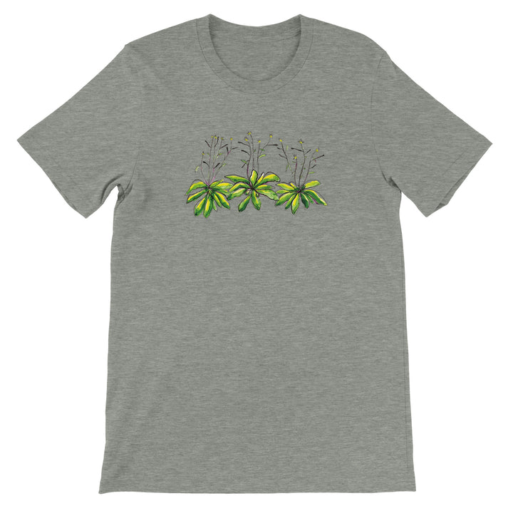 watercolor arabidopsis thaliana design on heather gray tshirt by ontogenie