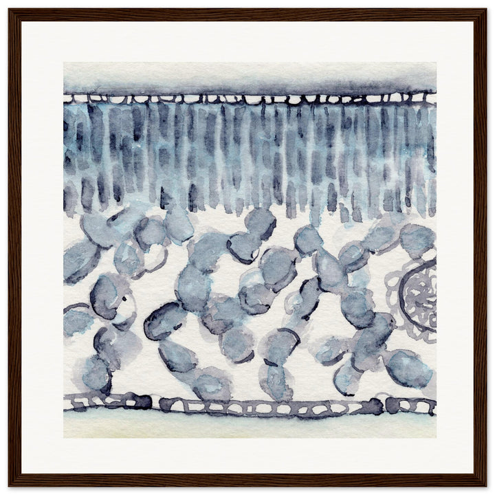 dicot leaf cross section abstract watercolor framed print