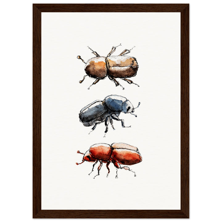 framed print of bark beetle watercolor painting by ontogenie