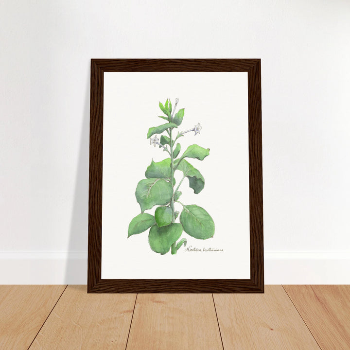 c64a8d48-08c4-4139-8488-c03337f602c1