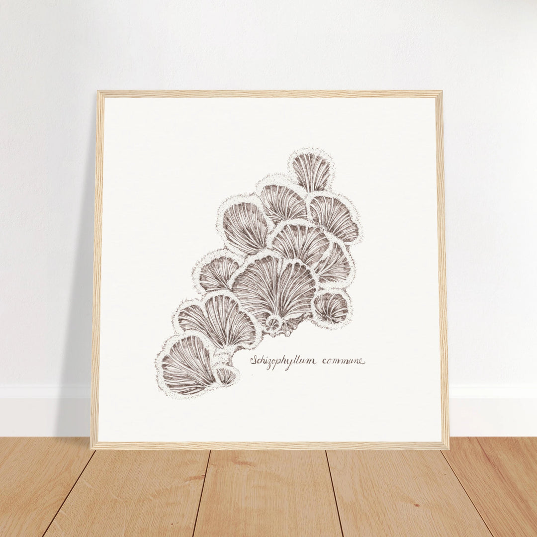 ca1b963e-b7e1-4318-8507-5f776f318b66