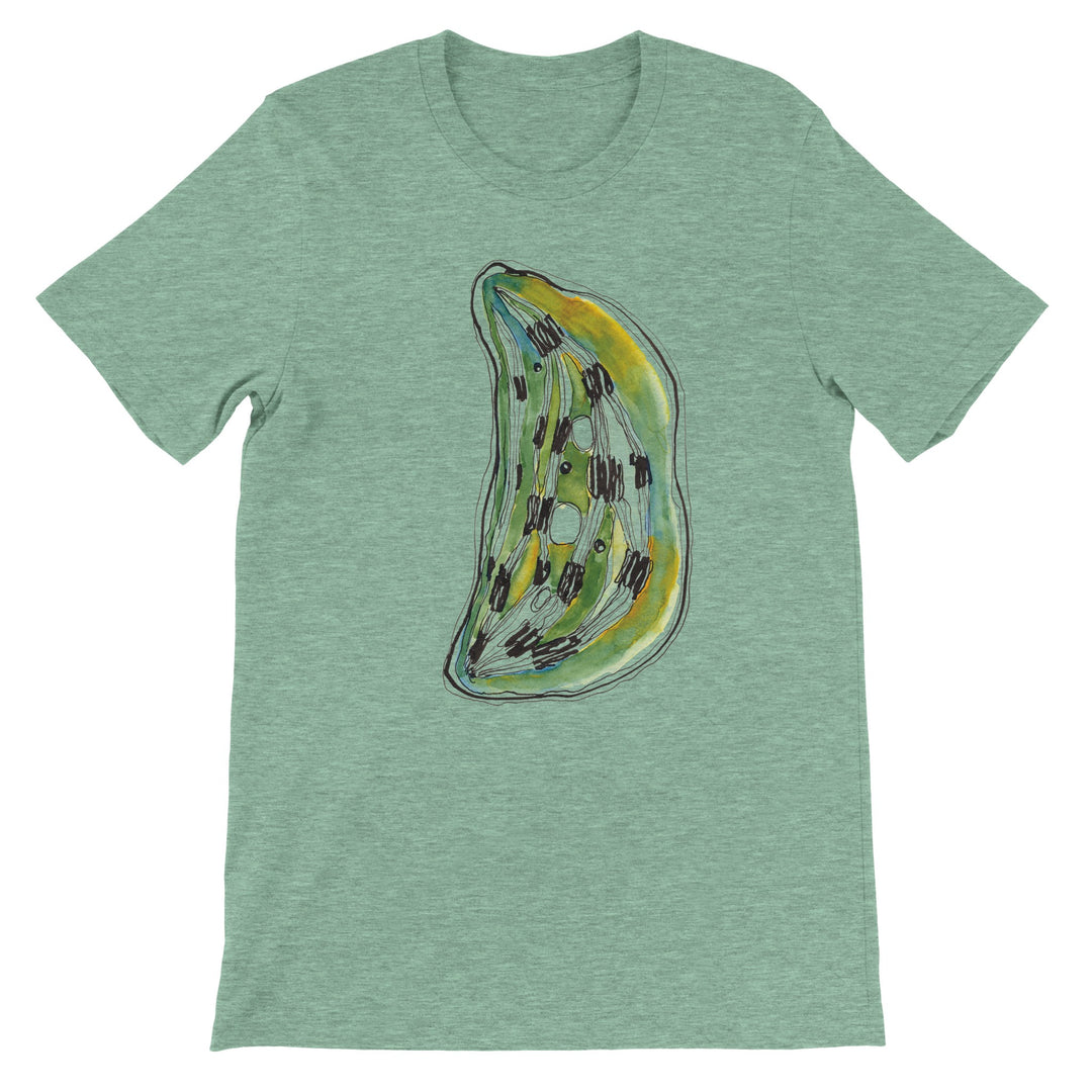 chloroplast watercolor design on tshirt by ontogenie