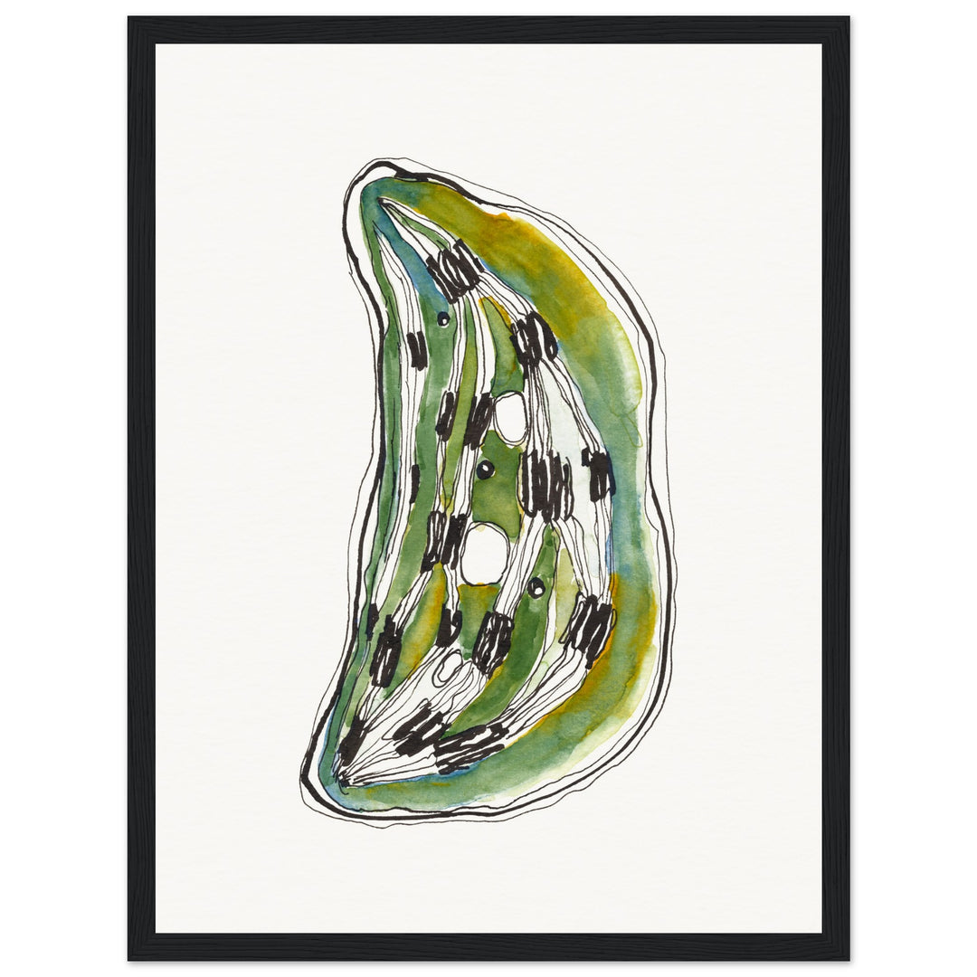 framed print of cell nucleus watercolor painting by ontogenie