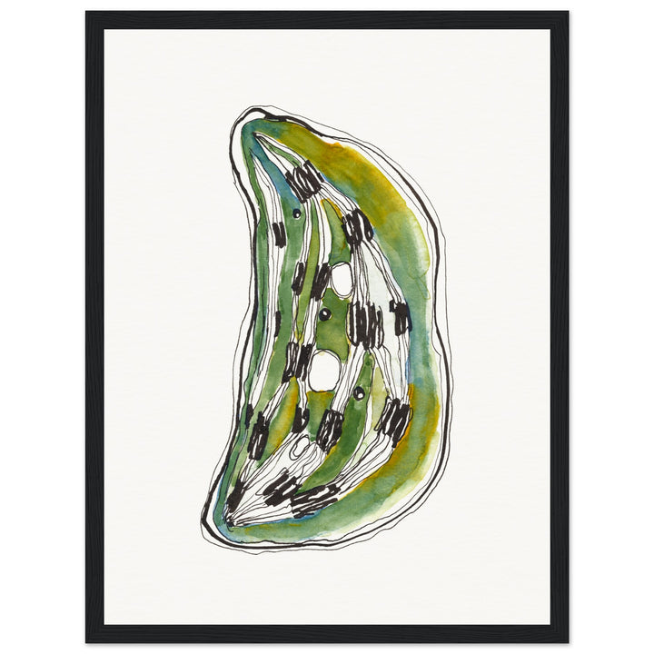 framed print of cell nucleus watercolor painting by ontogenie