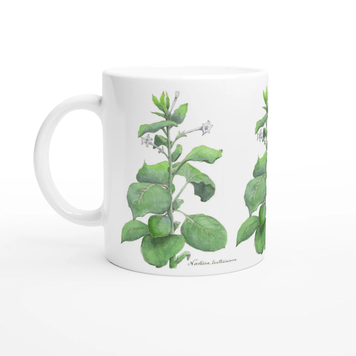 nicotiana benthamiana tobacco mug