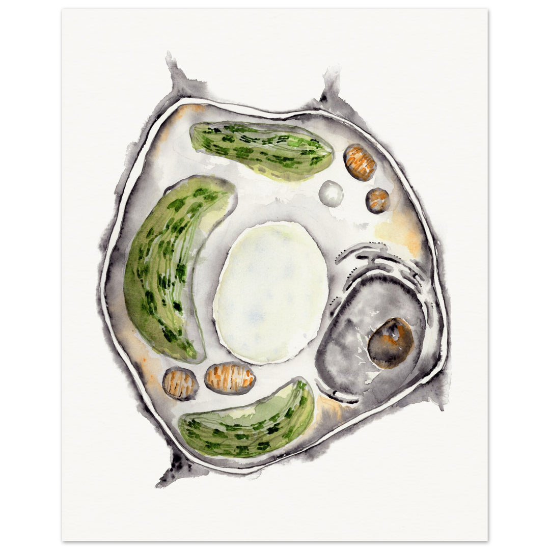 abstract watercolor plant cell art print by ontogenie