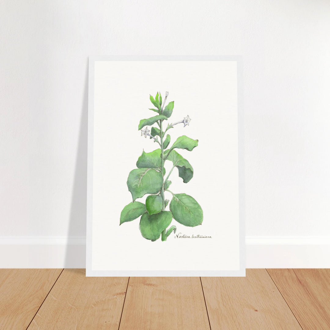 ced38635-64ff-4b40-ab82-7063d5db4324