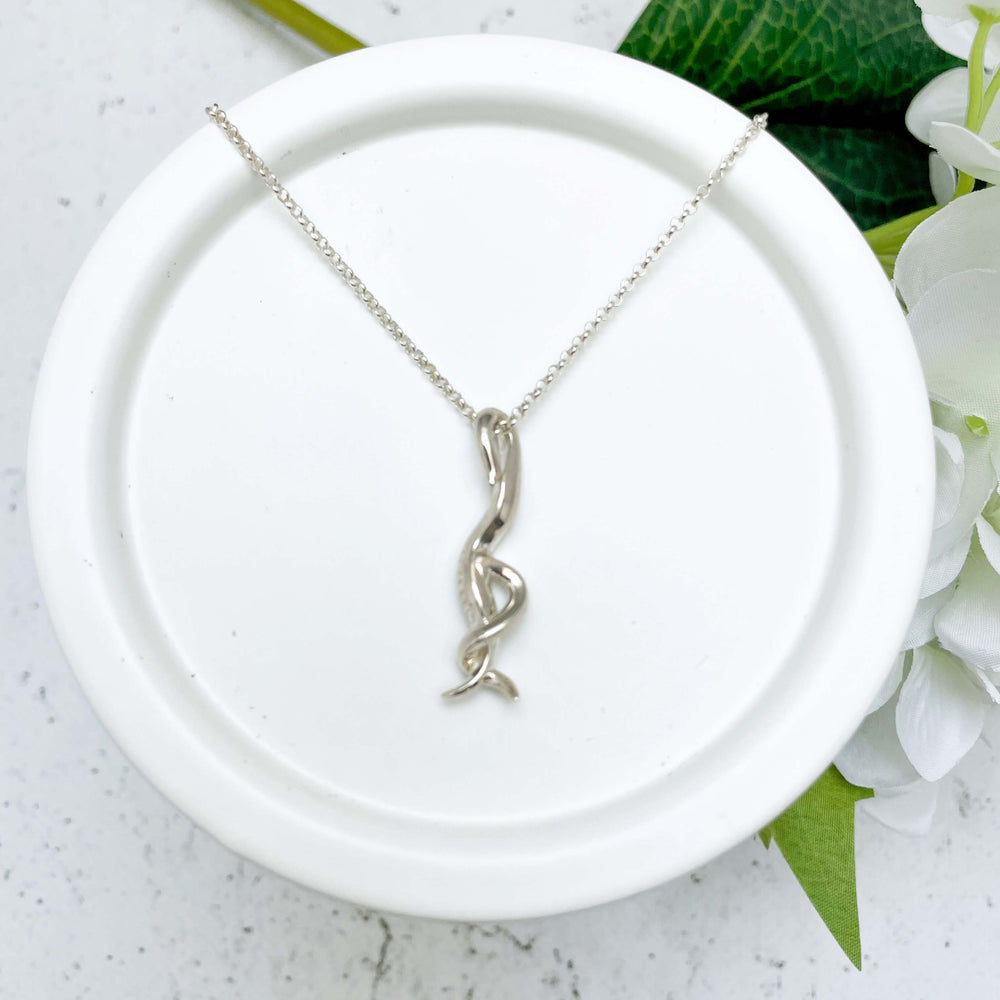 C elegans pendant in polished silver by Ontogenie Science Jewelry