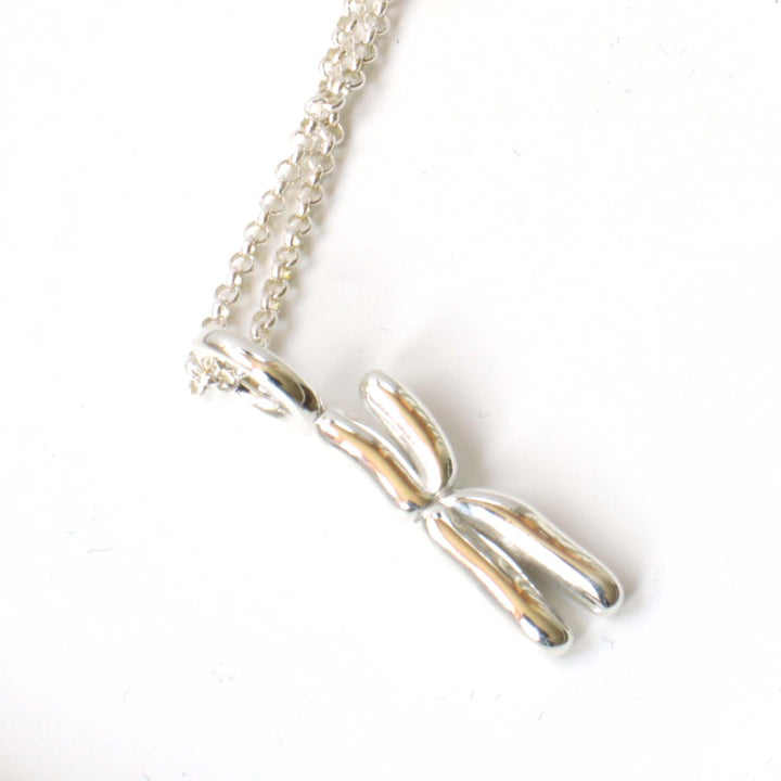 Chromosome pendant in polished silver by Ontogenie Science Jewelry