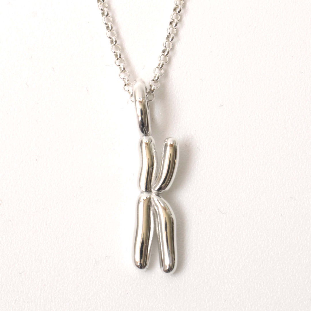 Chromosome pendant in polished silver by Ontogenie Science Jewelry