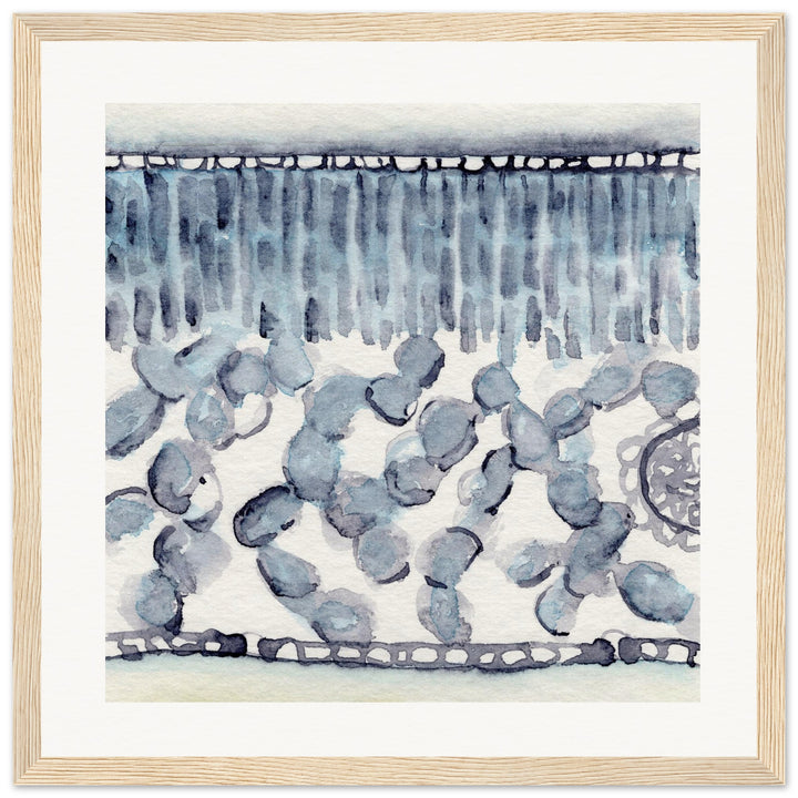 dicot leaf cross section abstract watercolor framed print