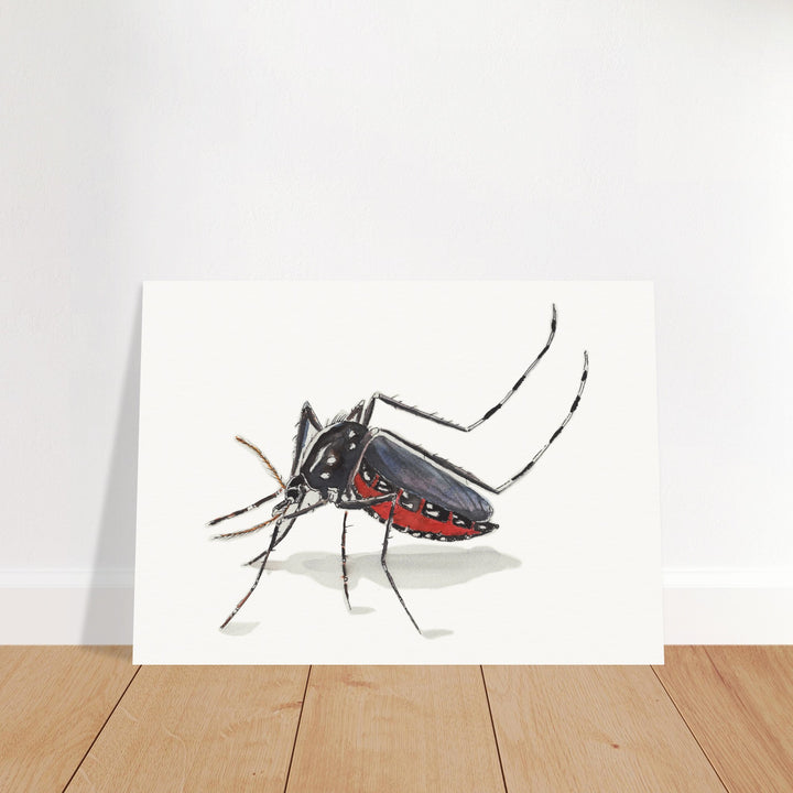 tiger mosquito art print unframed by ontogenie