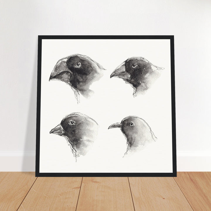 darwin galapagos finches watercolor and ink art print