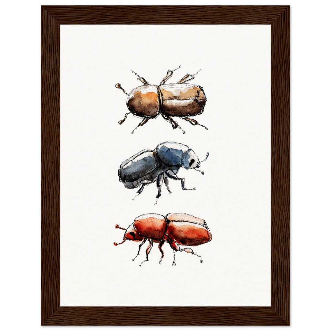 framed print of bark beetle watercolor painting by ontogenie