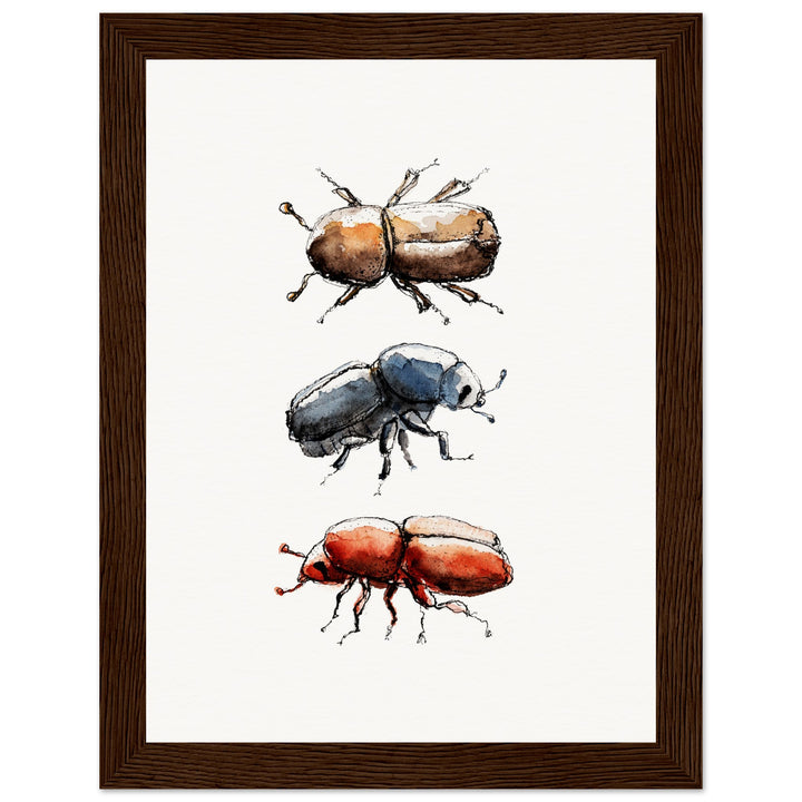 framed print of bark beetle watercolor painting by ontogenie