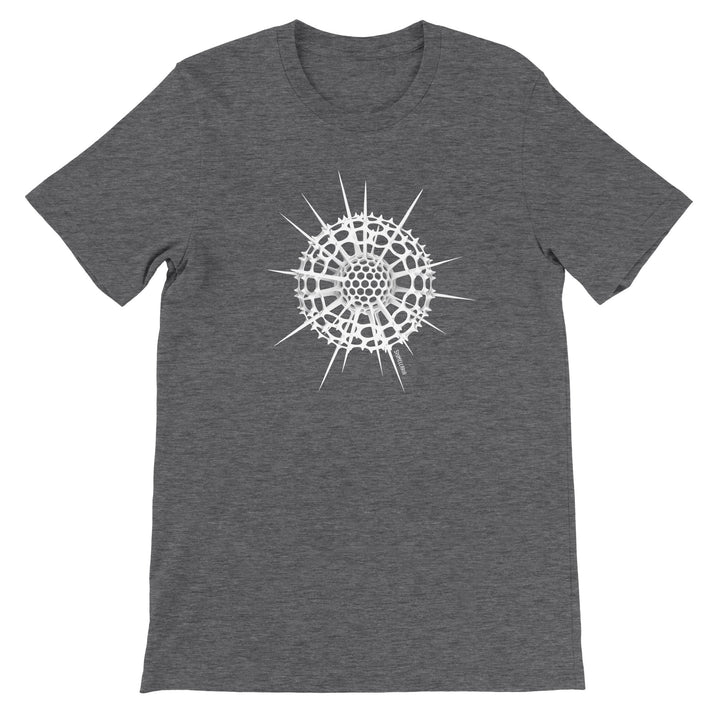 radiolaria t-shirt in dark heather gray by ontogenie