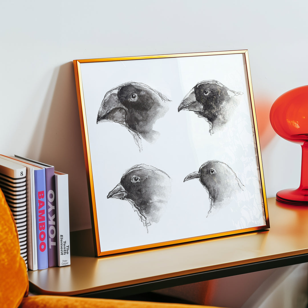 darwin galapagos finches watercolor and ink art print