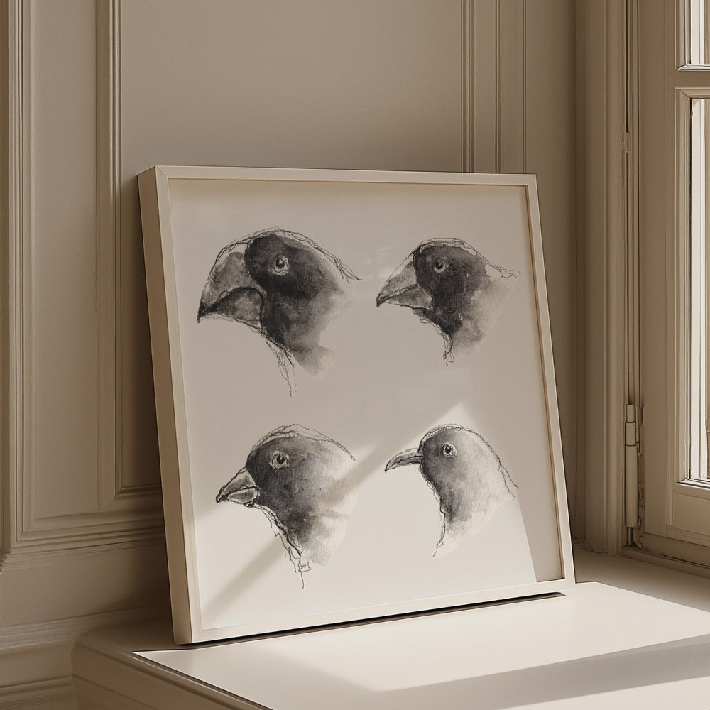 darwin galapagos finches watercolor and ink art print