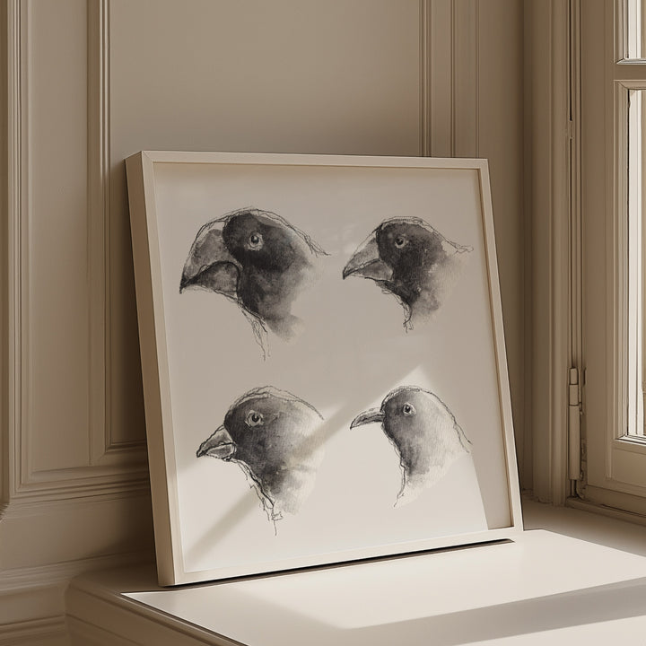 darwin galapagos finches watercolor and ink art print