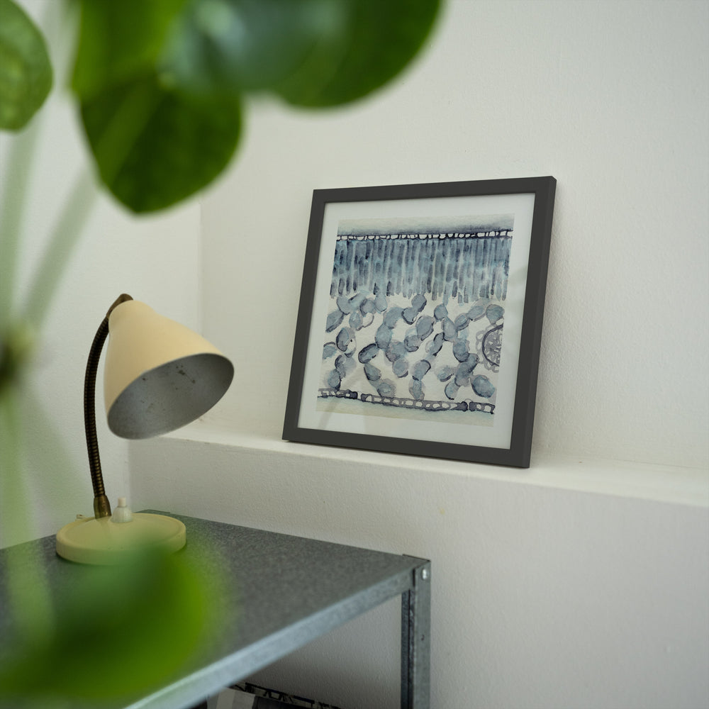 dicot leaf cross section abstract watercolor framed print