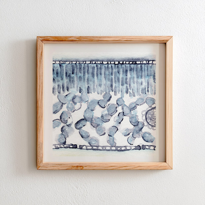 dicot plant leaf cross section watercolor print wall art