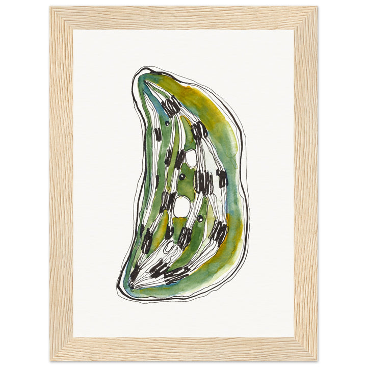 framed print of cell nucleus watercolor painting by ontogenie26