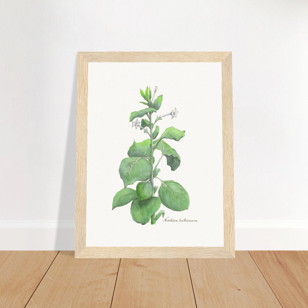 e61a3333-0b90-49f6-aaeb-363ad477e178