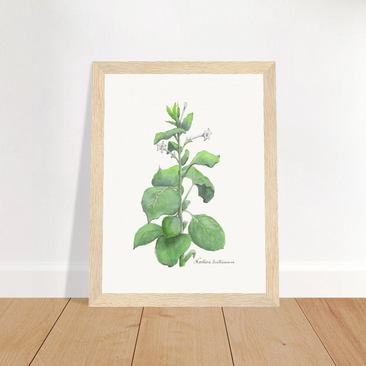 e61a3333-0b90-49f6-aaeb-363ad477e178