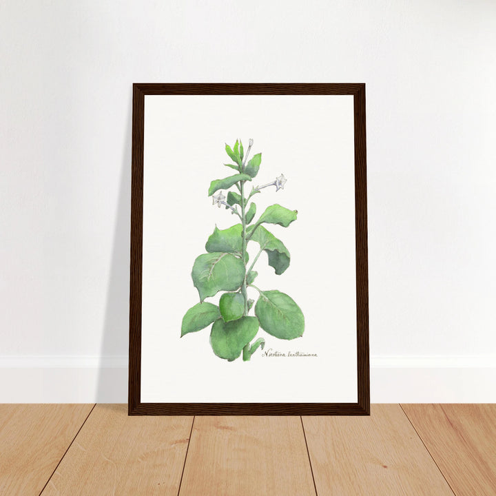 e7407c15-1561-491d-b060-56db10f32739